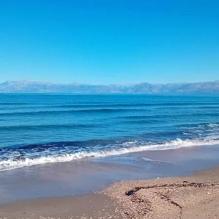 Acharavi Stone Daisy *