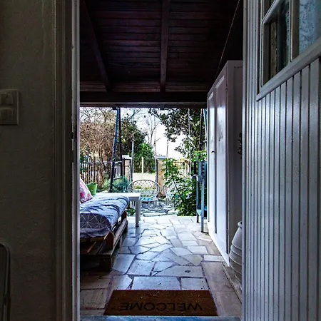 Acharavi Stone Daisy