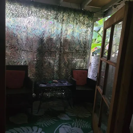 Acharavi Stone Daisy *