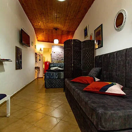 Acharavi Stone Daisy *